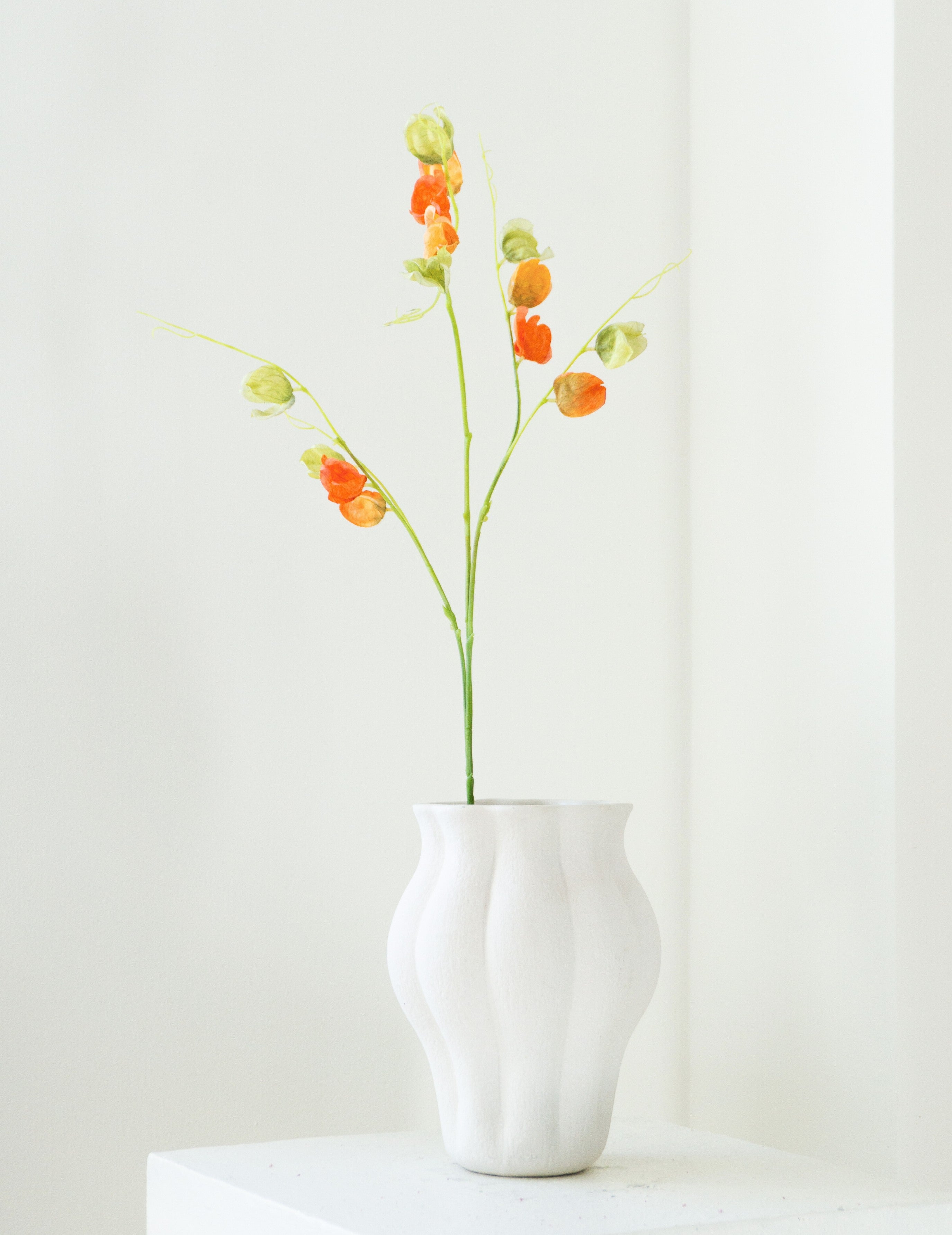 Kunstblume Physalis Orange-Grün