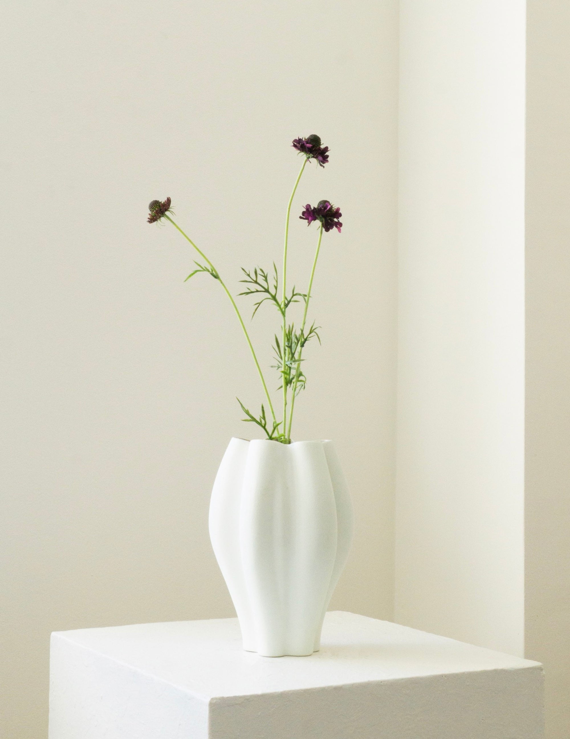 Kunstblume Scabiosa Bordeaux