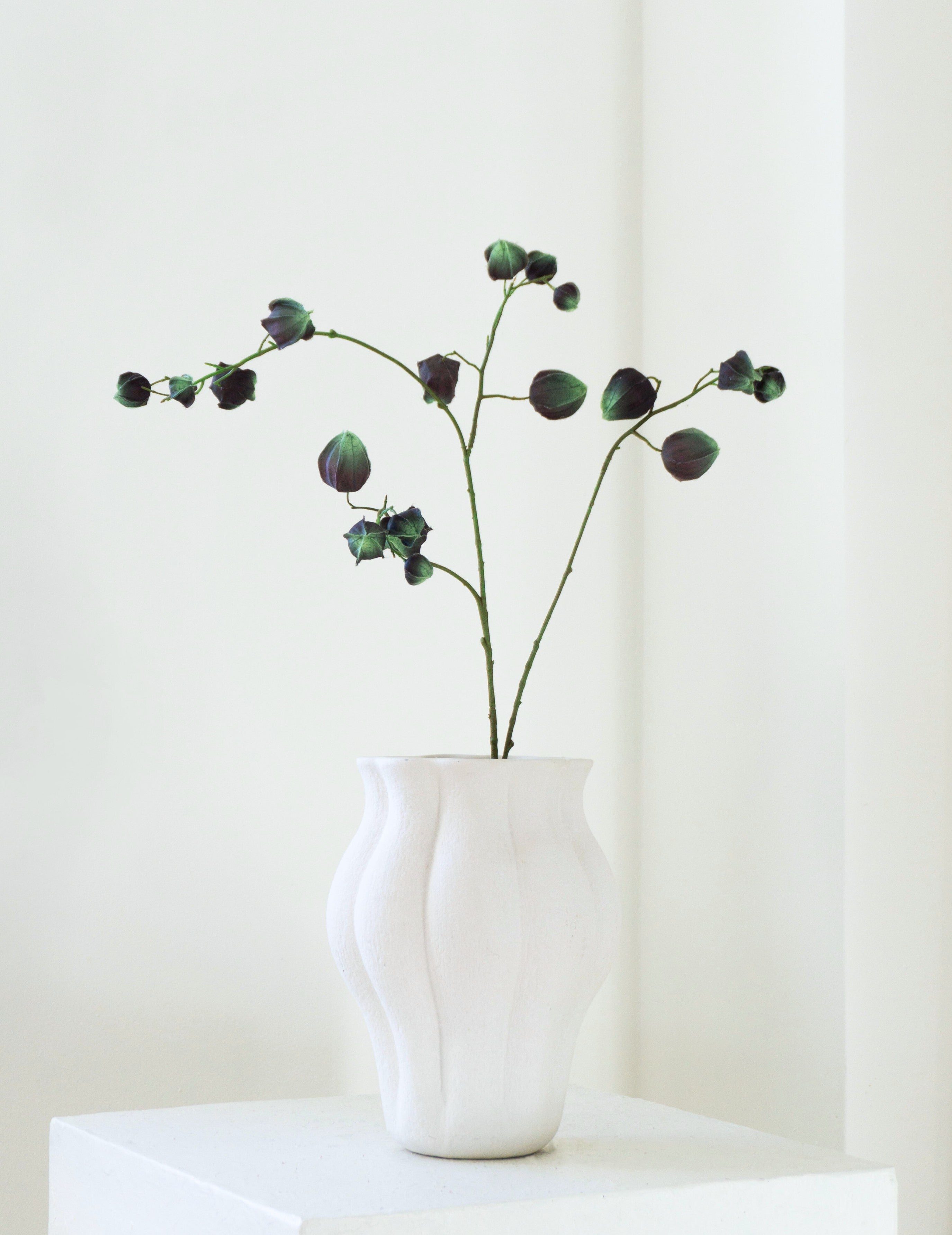 Kunstblume Physalis Grün-Braun