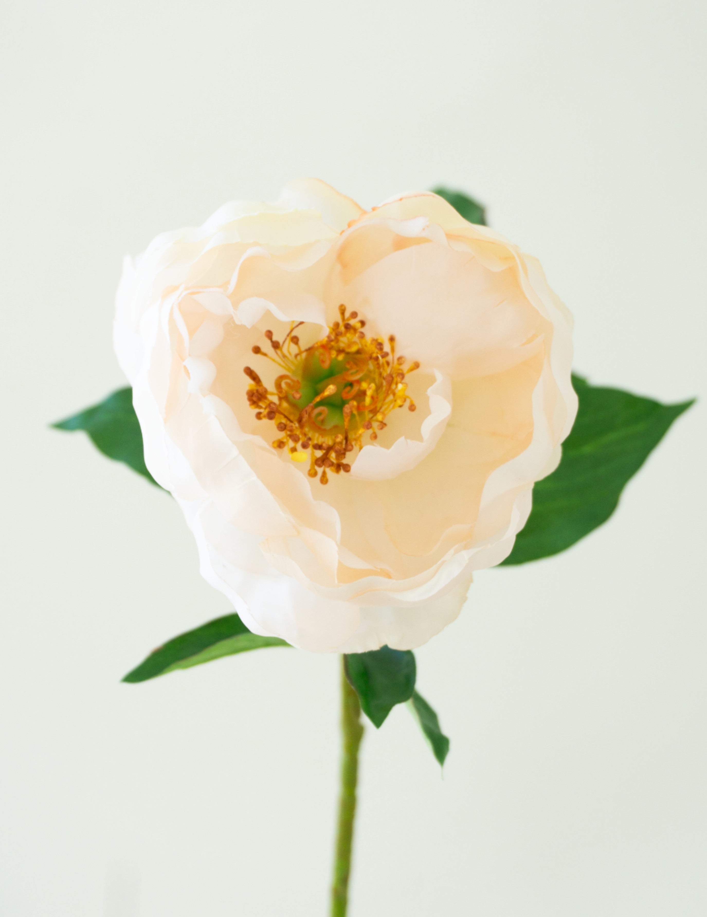 Kunstblume Pfingstrosenzweig Pfirsich