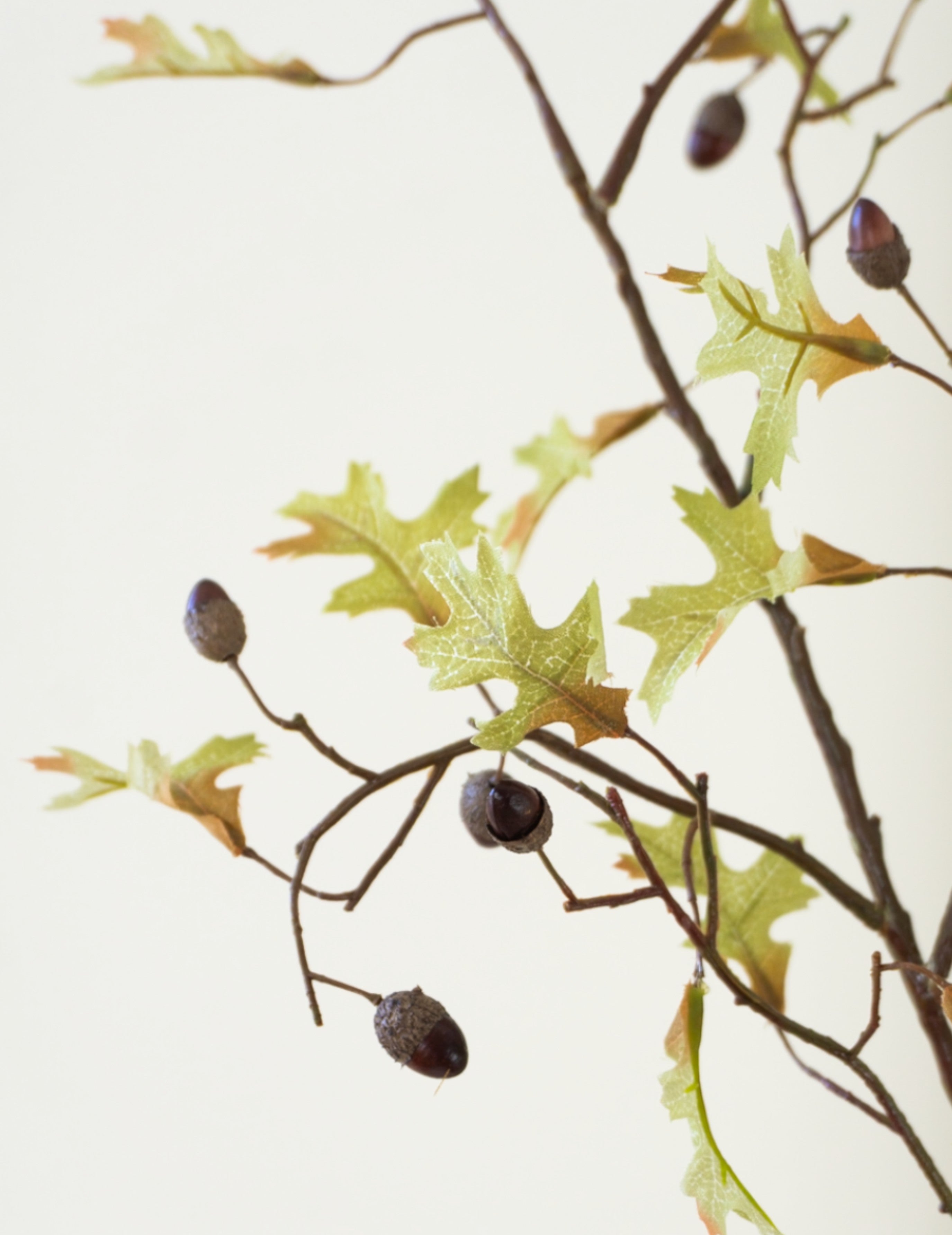 Kunstblume Eichenzweig Braun