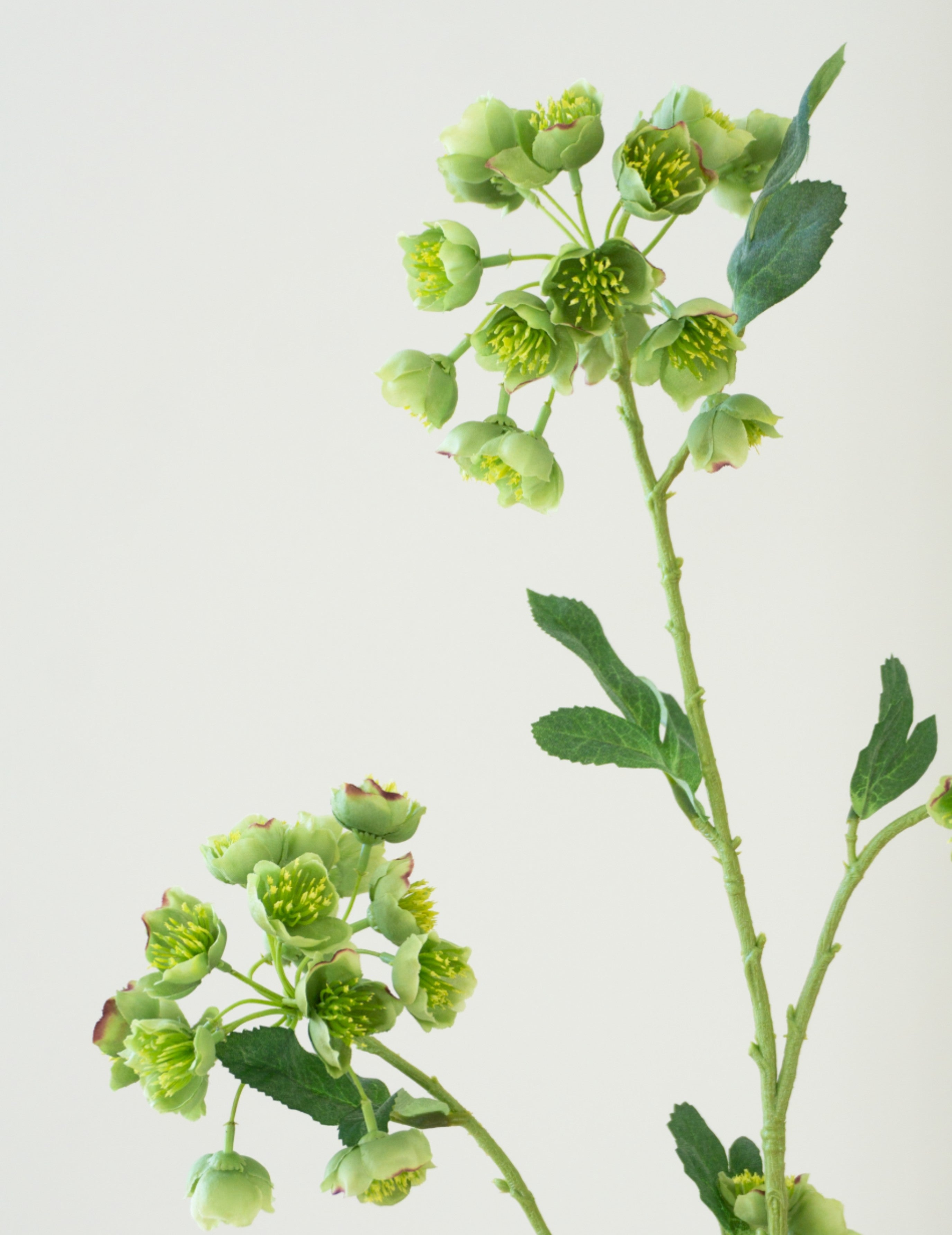 Kunstblume Helleborus Grün