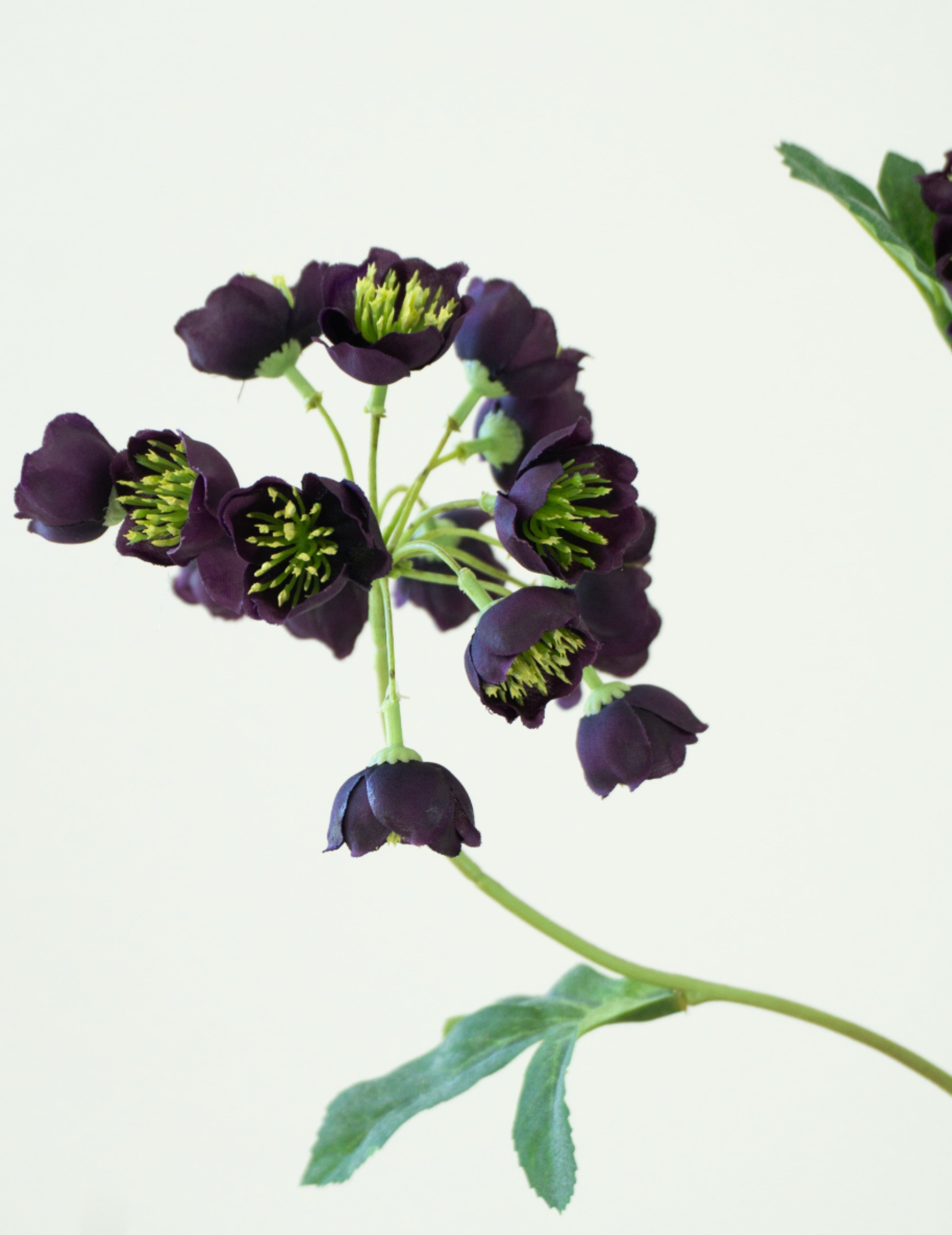 Kunstblume Helleborus Burgund