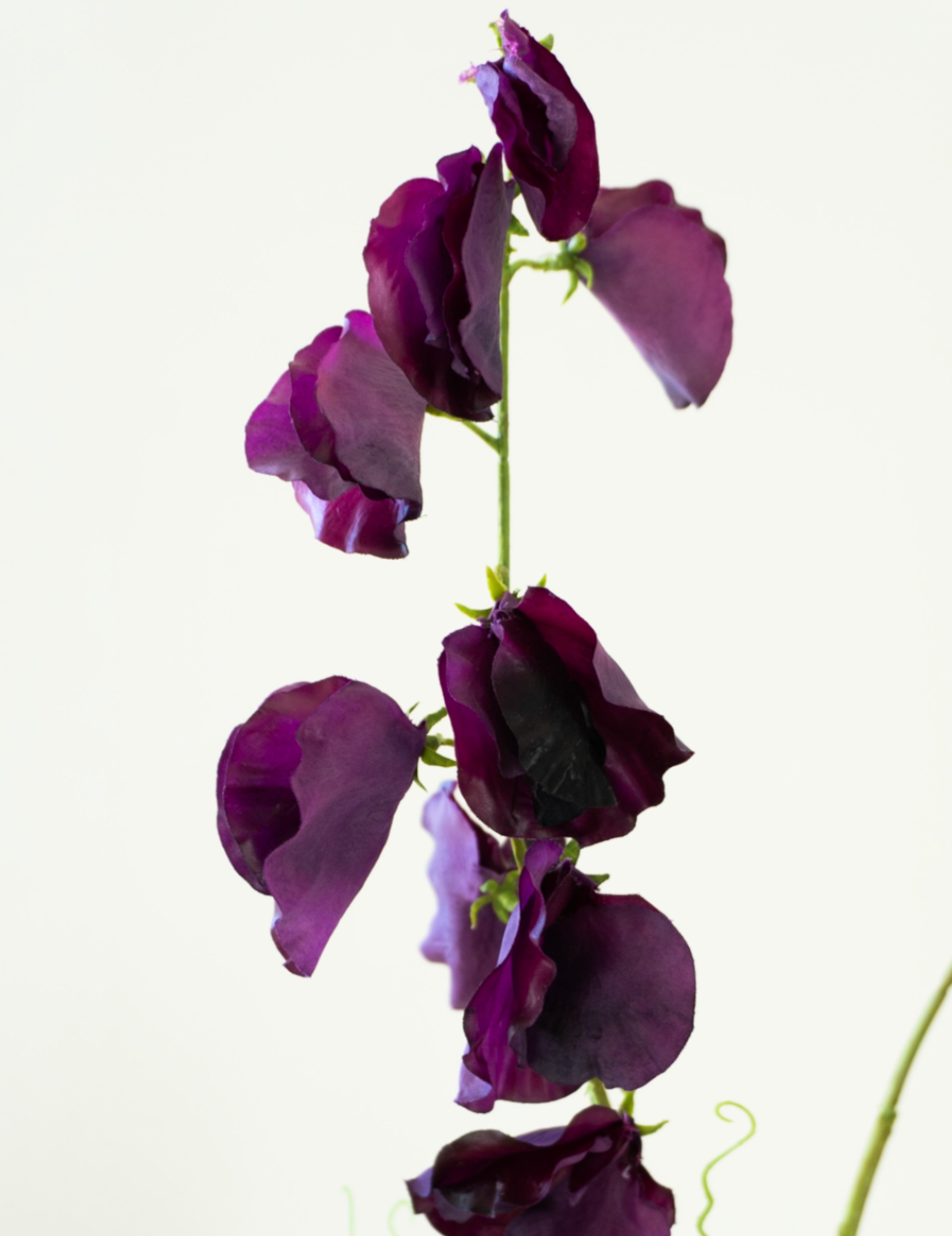 Kunstblume Wicken 'Real Touch' Violett