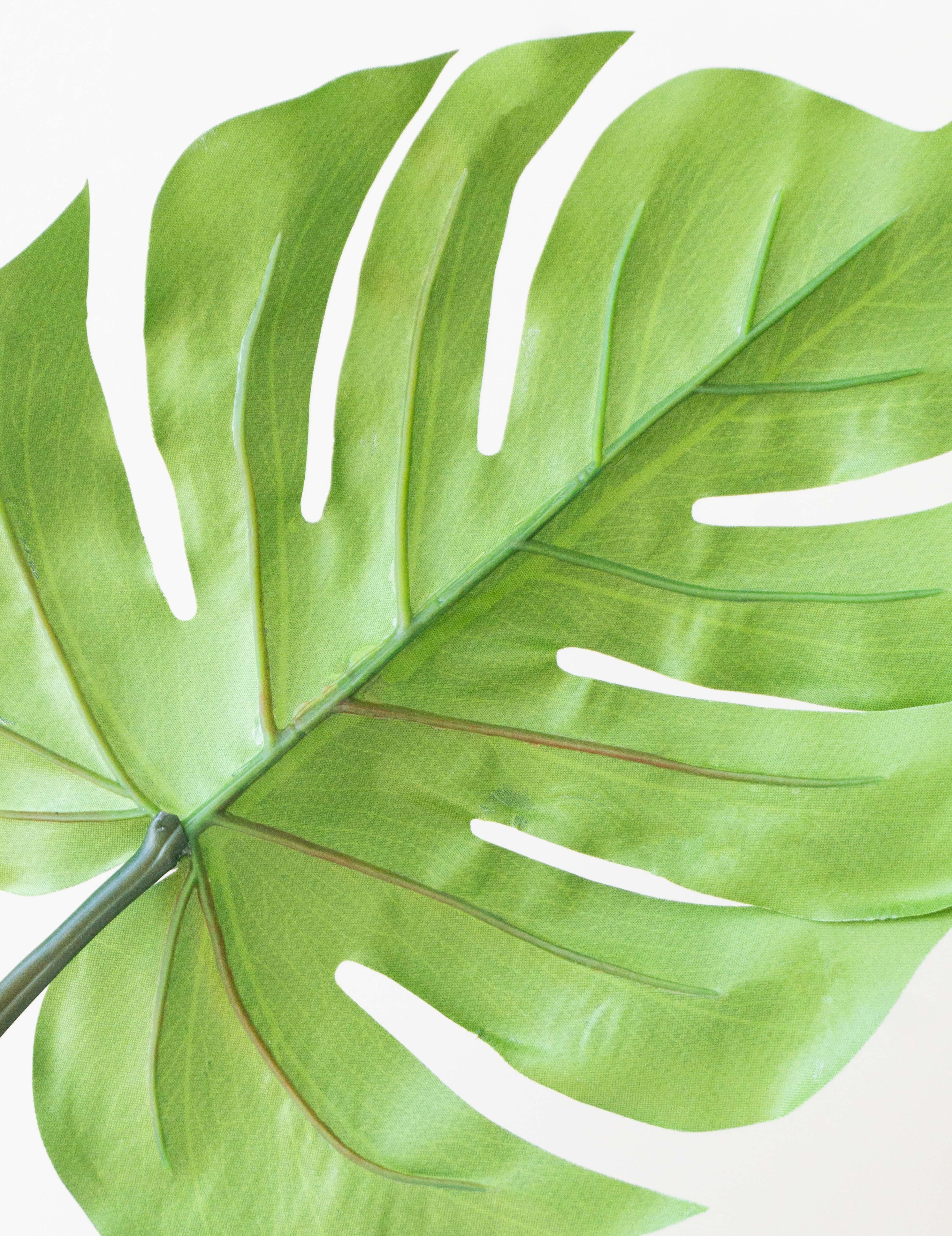 Kunstblume Splitphiloblatt Silbergrün