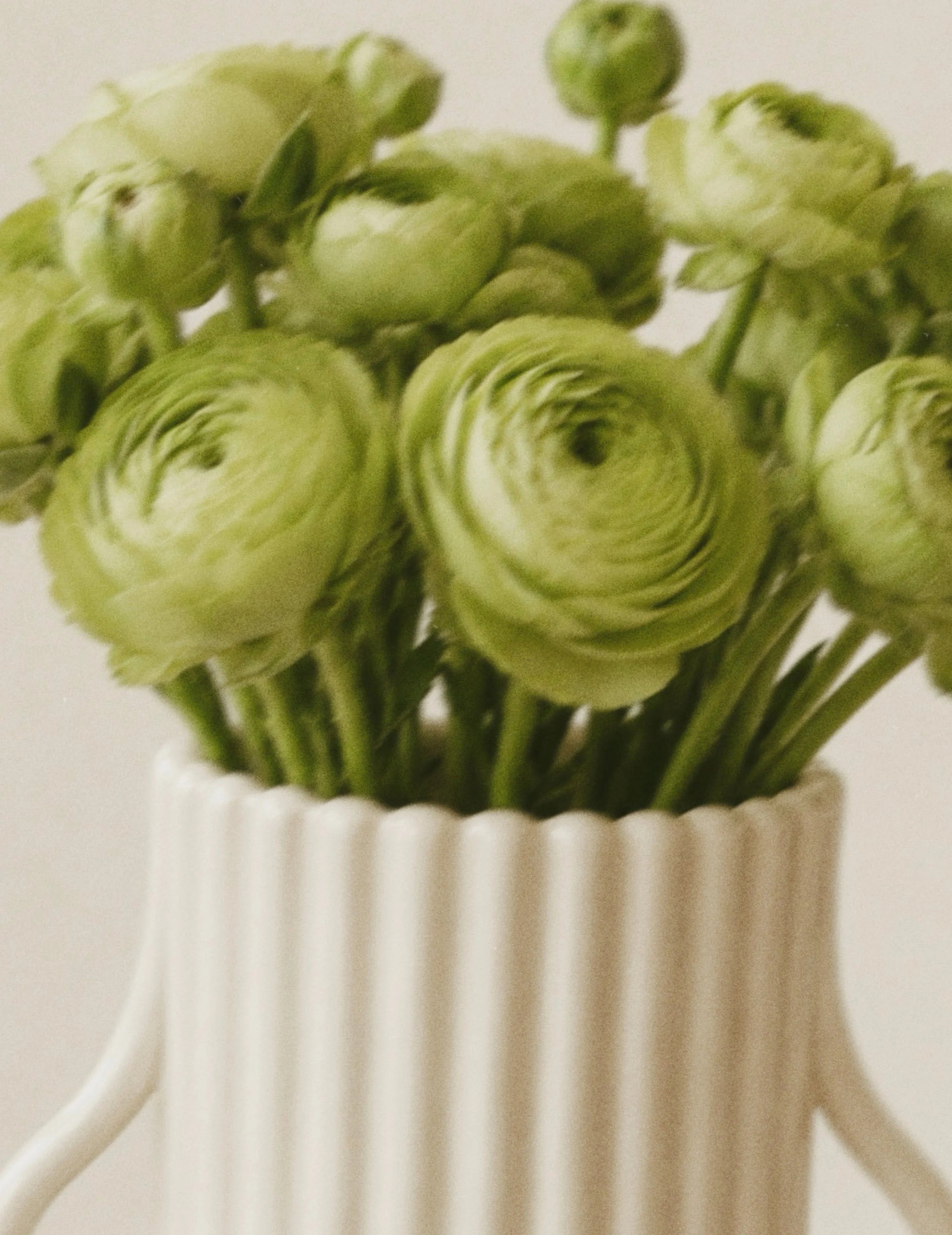 Deko-Vase mit Henkel Keramik Weiß