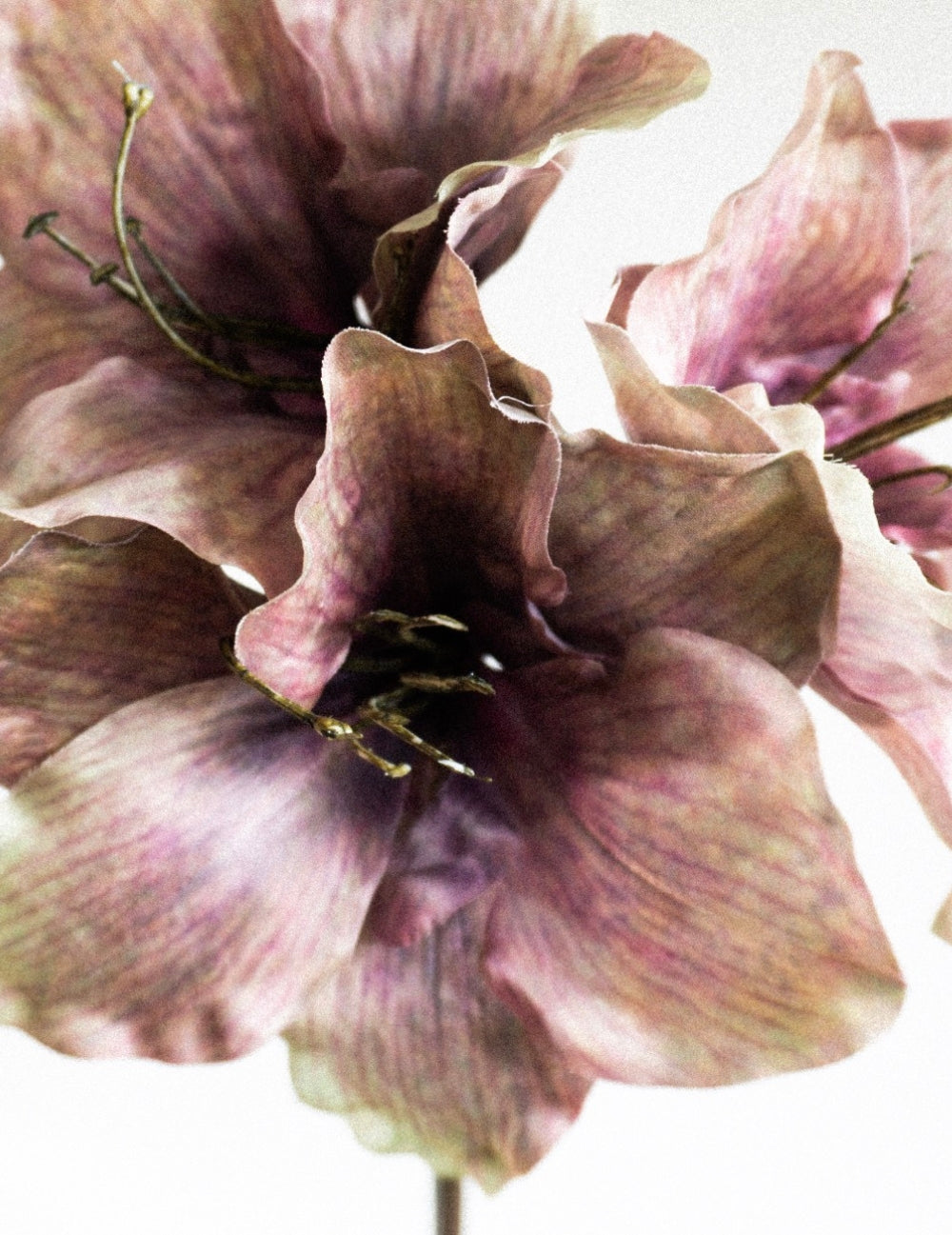 Kunstblume Amaryllis Violett-Braun