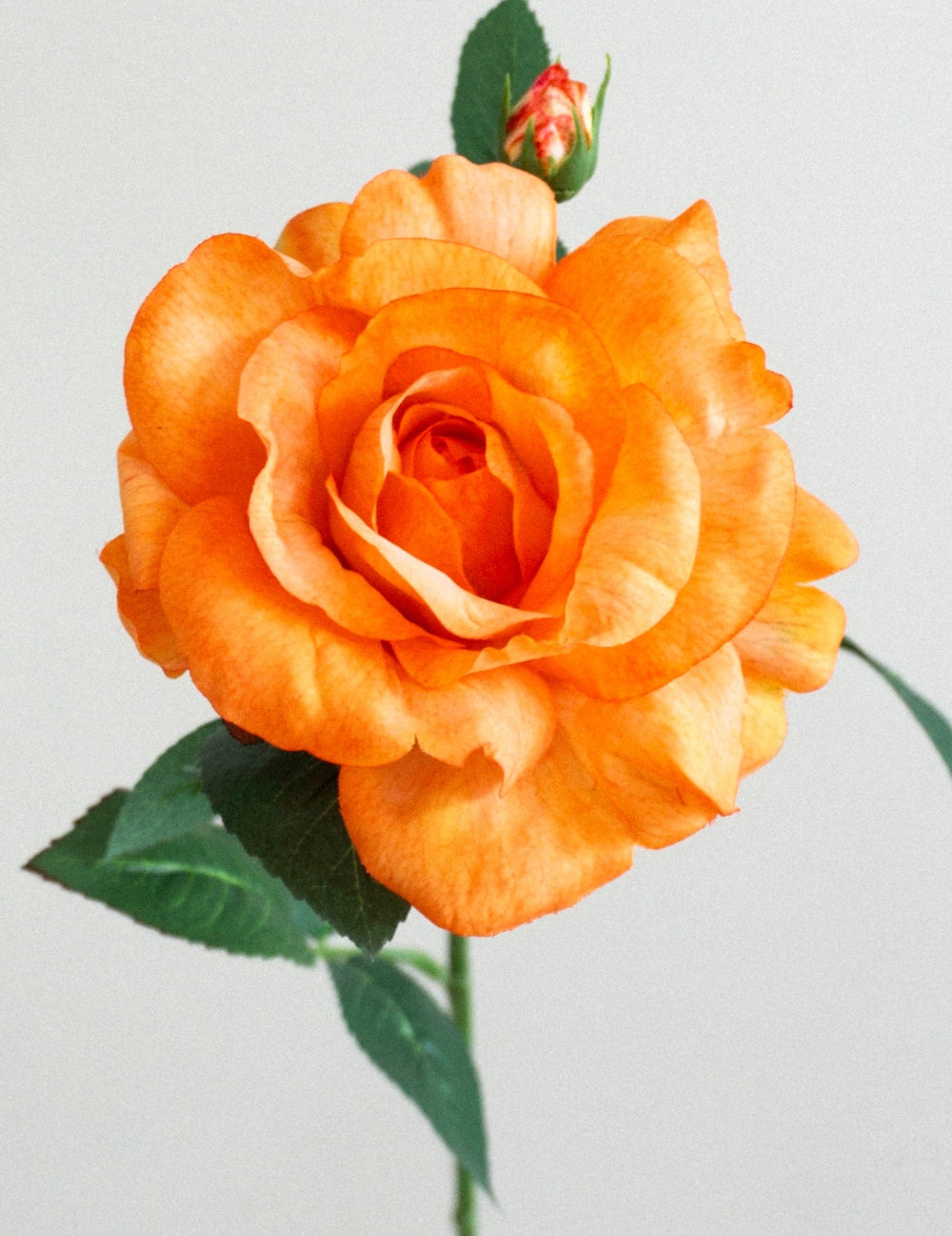 Kunstblume Rose Orange