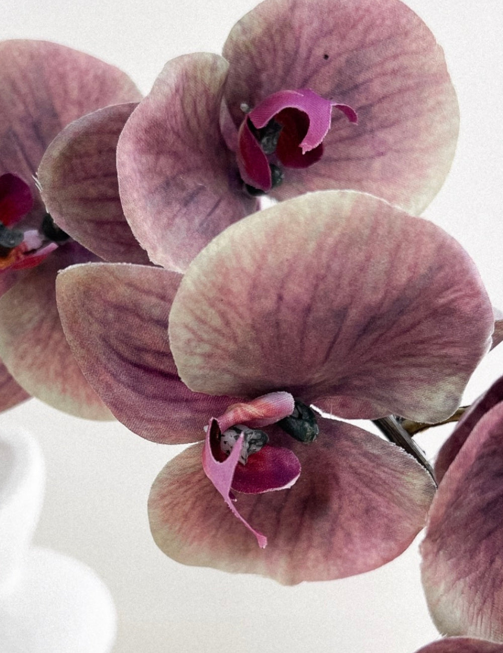 Kunstblume Orchidee Violett-Braun