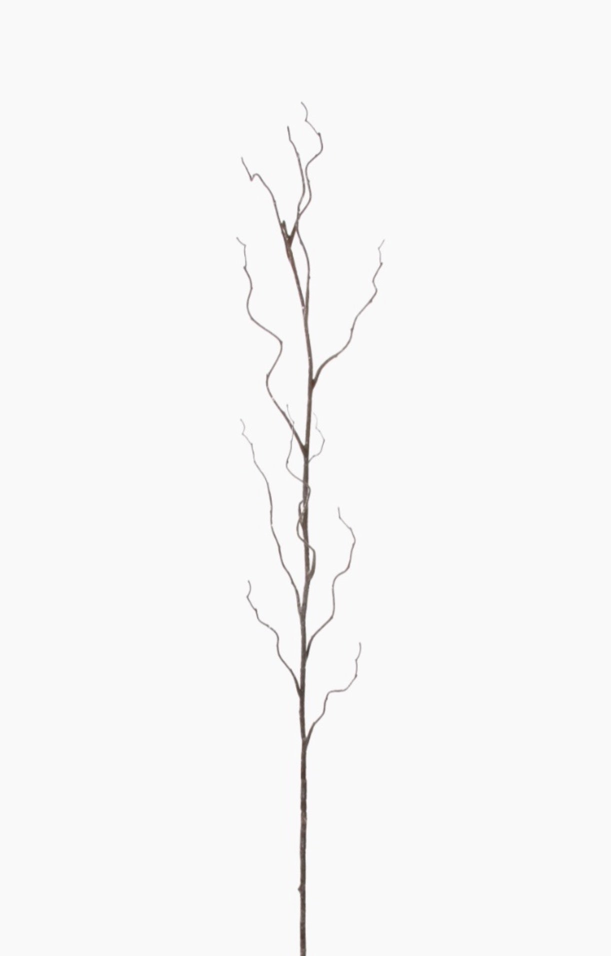 Artificial flower willow branch with frost brown