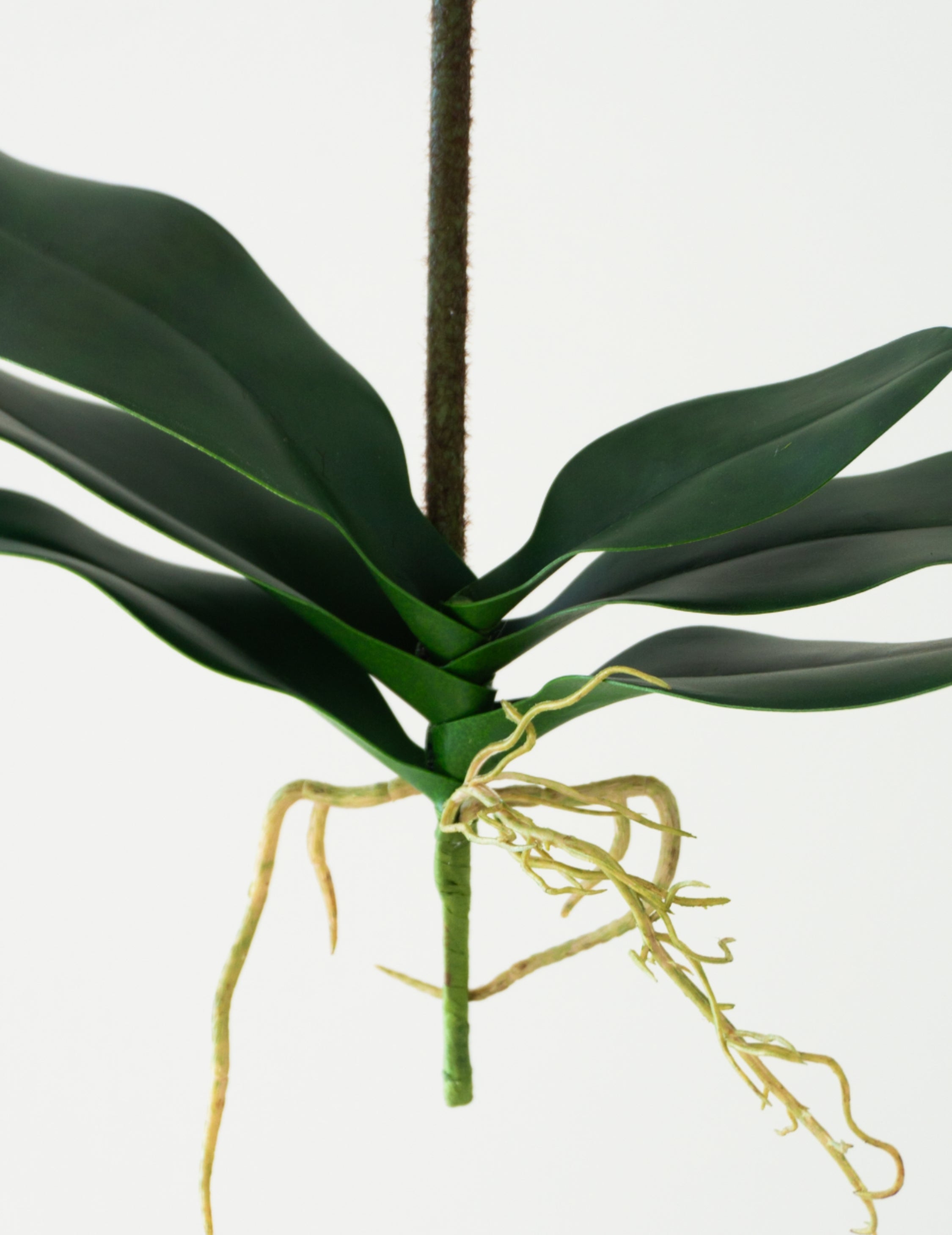 Kunstblume Frauenschuhorchidee 'Real Touch' Grün