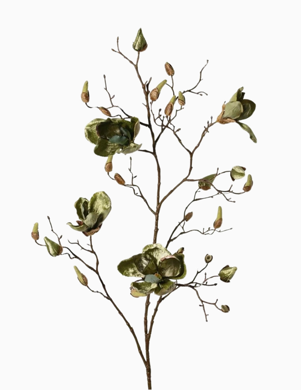 Kunstblume Magnolien-Zweig Grün