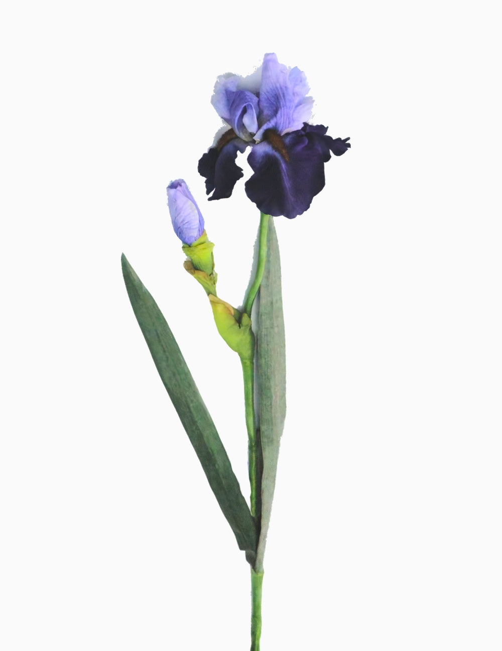 Kunstblume Iris Lila
